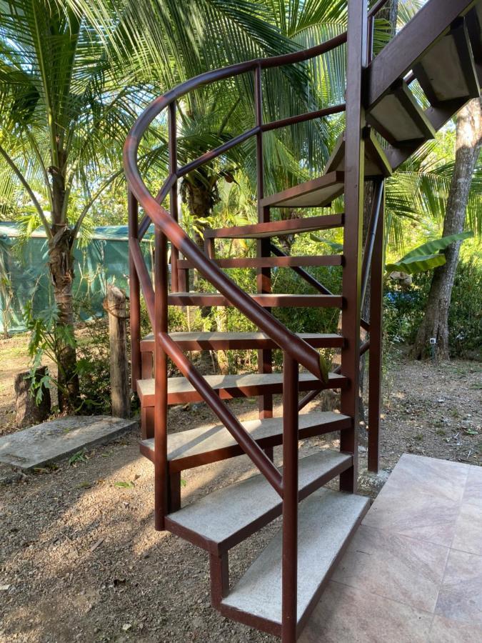 Jazlyn Lodge & Tours Paquera Bagian luar foto