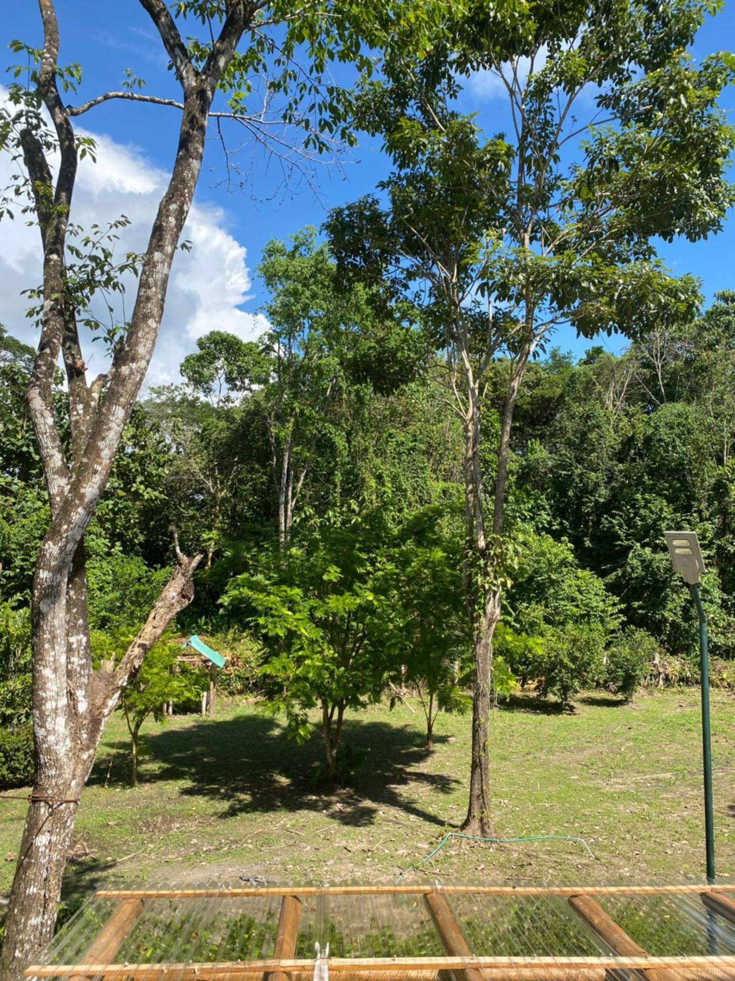 Jazlyn Lodge & Tours Paquera Bagian luar foto
