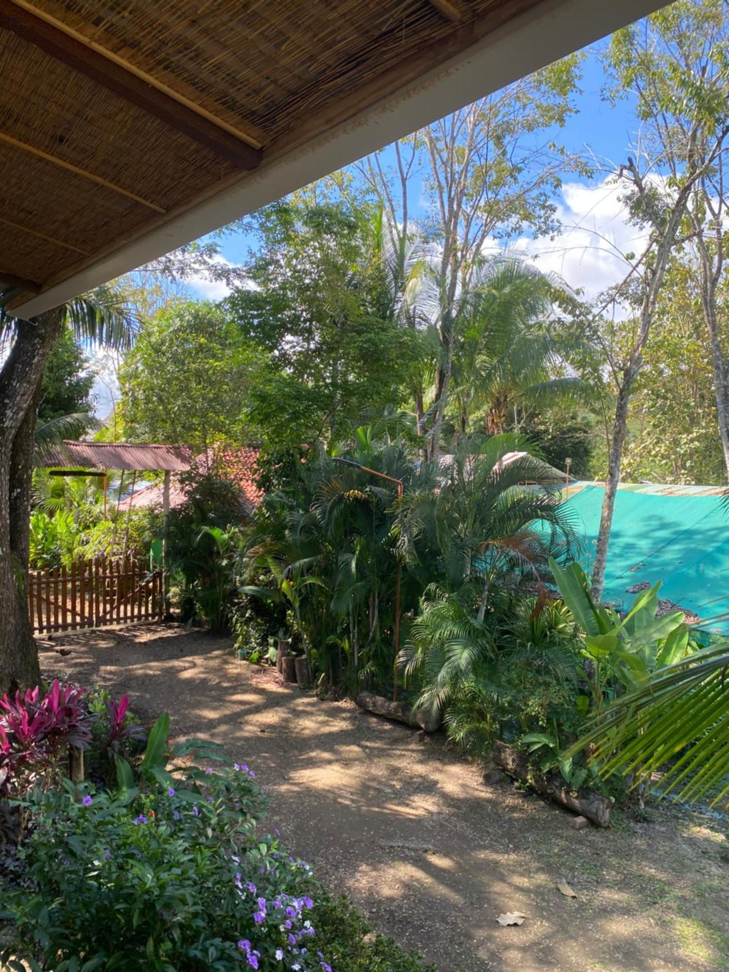 Jazlyn Lodge & Tours Paquera Bagian luar foto