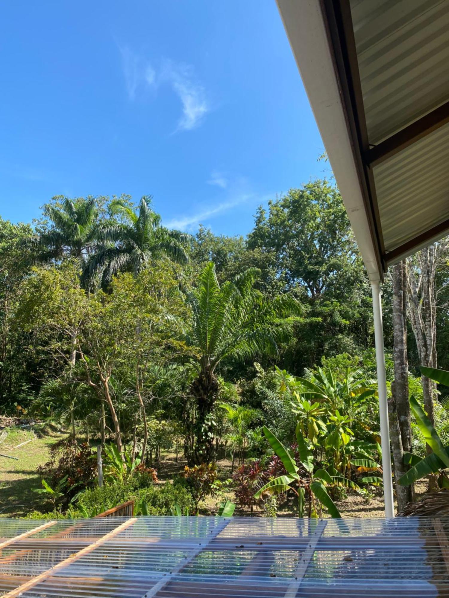 Jazlyn Lodge & Tours Paquera Bagian luar foto